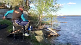 Волжанка Профи 2.0 60+ Работа удилища в росте 3.9