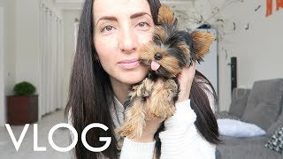 VLOG: КАК ПРОШЛИ ВЫХОДНЫЕ! ДЕНЬ МАТЕРИ! УЧИМ БУКВЫ 2! НАША СОБАКА  (ВЛОГ)