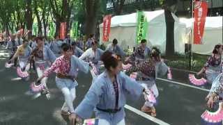 2012.5 仙台青葉まつり 雀踊り