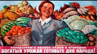 Суцільна колективізація в СРСР (укр.) ЗНО з історії України.