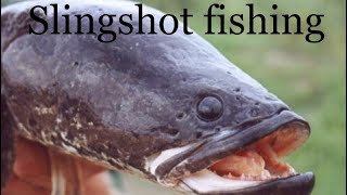 SLINGSHOT FISHING. РЫБАЛКА НА ЗМЕЕГОЛОВА .