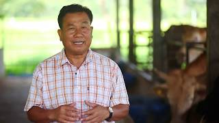 สหกรณ์โคขุนครบวงจร | หนองสูง จ.มุกดาหาร