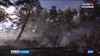 В Муезерском районе введен особый противопожарный режим