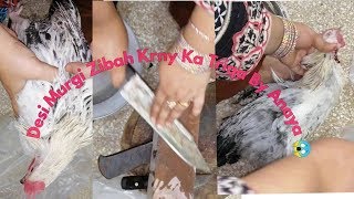 Aj ek or Desi murgi hvi zibah jldi sy open kr k dkho...