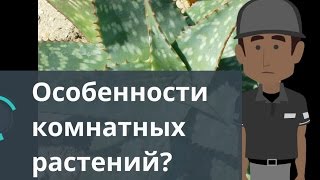 Особенности комнатных растений