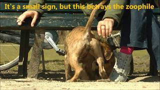 A Girl and her Dog - Mujeres que juegan con los Perros - حب الحيوانات