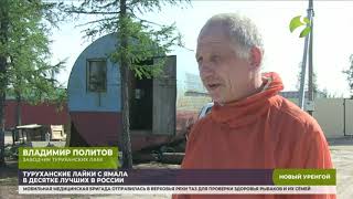 Туруханские лайки с Ямала в десятке лучших в России