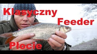 Grudniowe Płocie| Classic Feeder