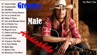 The Very Best Of Male Audiophile 2018 ? Greatest Audiophile Male Voices