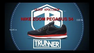 Сядет ли муха на новые Nike Zoom Pegasus 34?