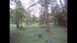 Станьково парк 22.09.2012