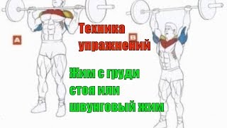 Жим стоя с груди. Швунговый жим. Плечи. Правильный Бодибилдинг. Техника #29.0