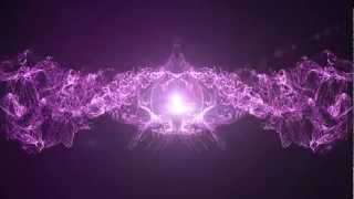 Kraddy Android P - Audio react Trapcode Form