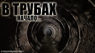 ШЕПОТ ИЗ РАКОВИНЫ. Страшные рассказы. Мистика.