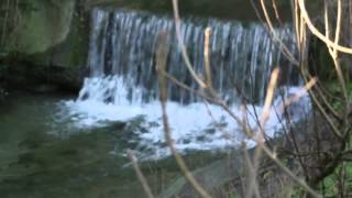 La natura di Sarsina (Turisan)