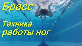 Техника ног брассом/ КАК НАУЧИТЬСЯ ПРАВИЛЬНО ПЛАВАТЬ/ How to learn to swim/ Плавание для каждого