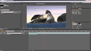 Adobe After Effects: Video schneiden "punktgenau"