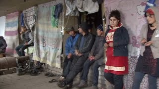 Полицейские нагрянули в китайские теплицы