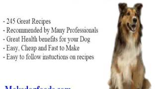 pet foods and more
