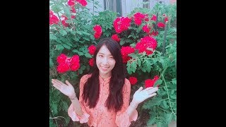 제31회 월드미스유니버시티 한국대회 2018 이수현