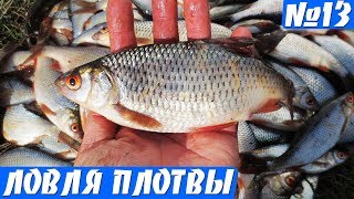 Ловля плотвы на удочку весной. Крупная плотва на поплавок в апреле
