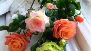 Мастерская Ларисы Мельниковой/ Цветы из холодного фарфора/ Санкт-Петербург