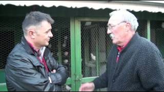 Golubarske Priče - Dragan Petrović Cufla