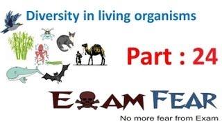 Biology Diversity in Living Organisms part 24 (Reptilia, Aves & Mammals) CBSE class 9 IX