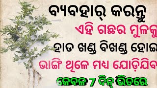 #TRANDING  ayurvedic treatment for bone fracture | ayurvedic medicine for bone fracture odia