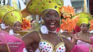 CARNAVAL DU MOULE 2017 A HD 43m52 by jul castry mpg