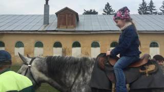 Экскурсия на Хреновской конезавод