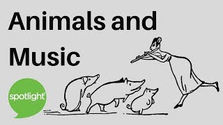 "Animals and Music" - practice English with Spotlight