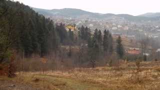 Сходница