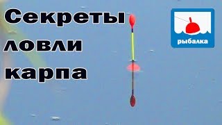 Секреты ловли карпа (ТЕОРИЯ)+ отчёт о рыбалке