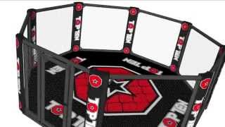 Октагон (octagon) - восмиугольный ринг для ММА