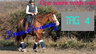 One week with me! | Tag 4 | Auswärtstraining Dressur