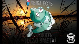 Осётр 700+ в час "Спасал" Трофей 3 часа)) Russian Fishing 4 РР4