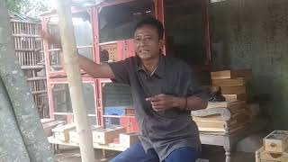 Cerita Sukses Budidaya KLANCENG dari Desa Glodokan Kec. Klaten Selatan Kab. Klaten