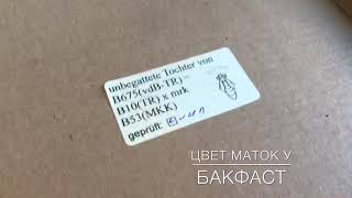 Цвет маток Бакфаст