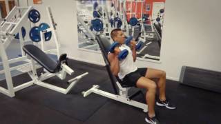 Incline Hammer Curls (Exercises.com.au)