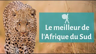Le meilleur de l'Afrique du Sud