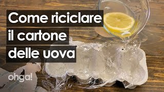 Come riciclare i cartoni delle uova: 4 idee geniali per riutilizzarlo