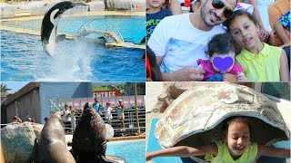 VLOG | Marineland en famille + Baby Balqis !