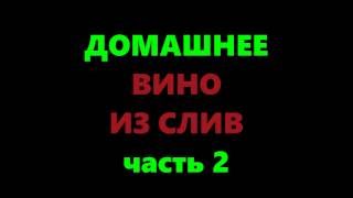Сливовое вино в домашних условиях по простому рецепту. Часть 2