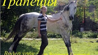 Видео урок - Трапеция