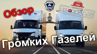 Обзор громких газелей
