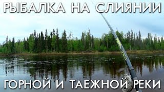 РЫБАЛКА НА СЛИЯНИИ ГОРНОЙ И ТАЕЖНОЙ РЕК / ХАРИУС НА ПОПЛАВОК