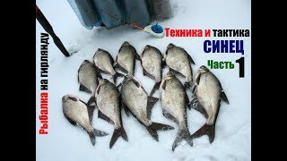 Рыбалка на гирлянду.  Техника и тактика ловли синца.