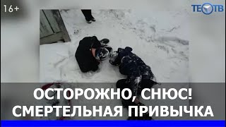 Снюс: последствия от употребления - смерть! ТЕО-ТВ 2019