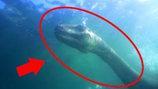 Dinosaur Caught on Camera + REAL Mysterious Creatures Caught on Tape